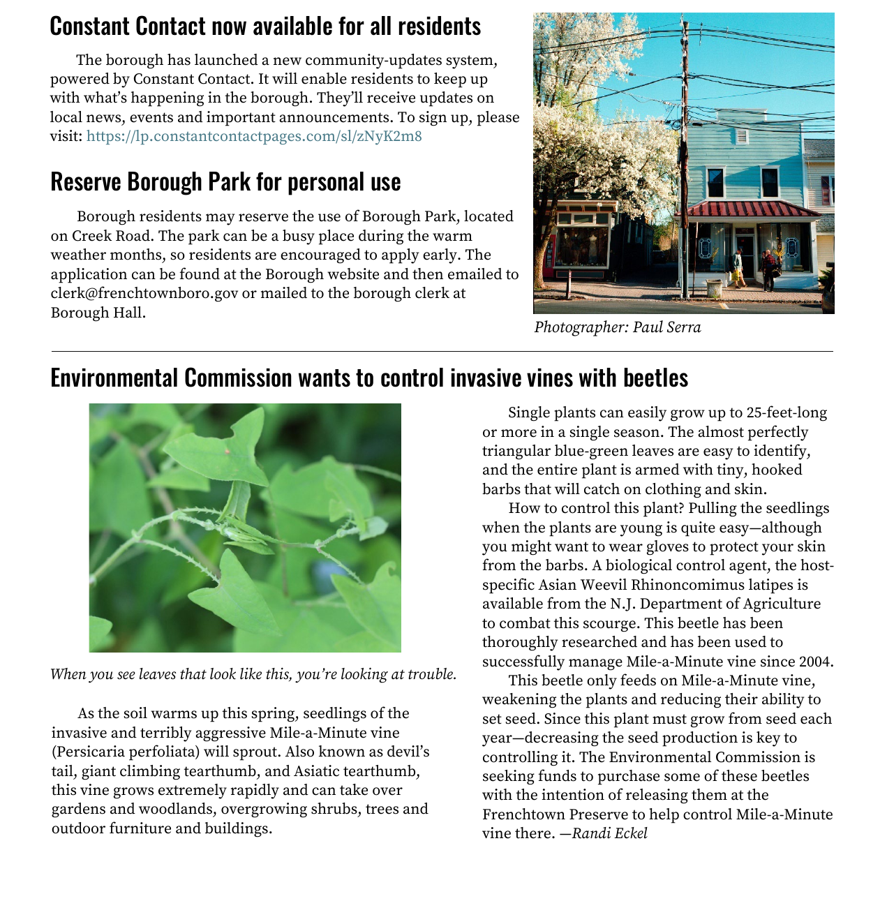 Newsletter First Page